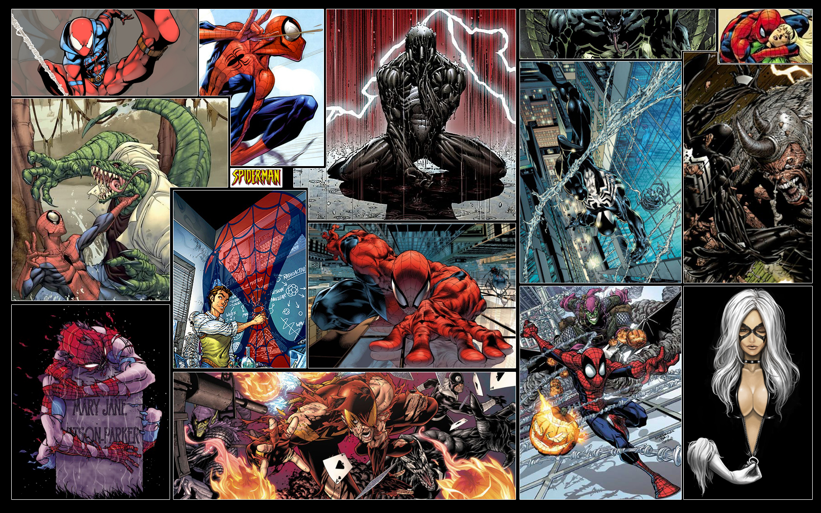 Spiderman_Wallpaper_by_GT_Orphan.jpg