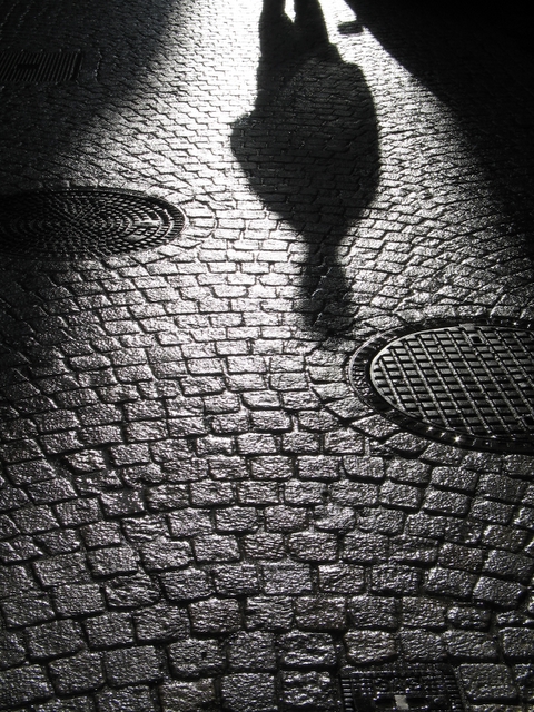 The Shadow by SShadowFFlower